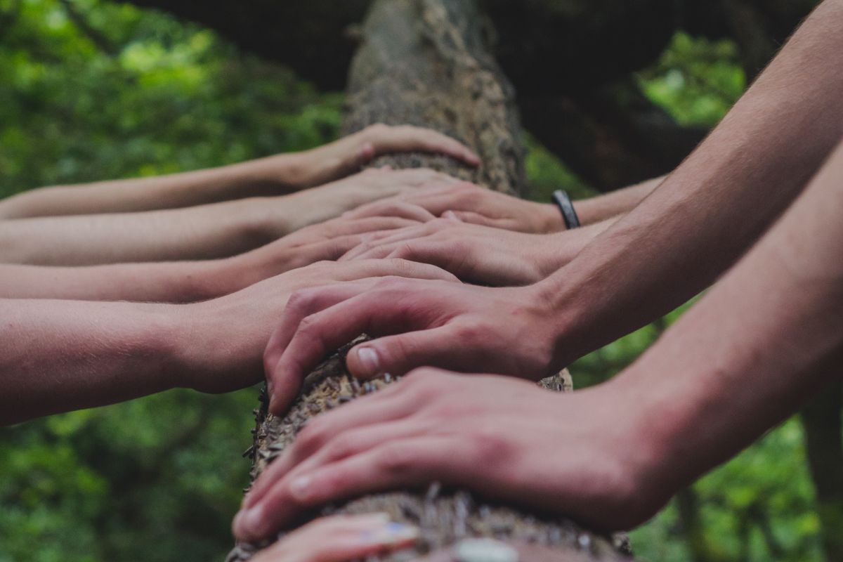 Hands on a tree trunk